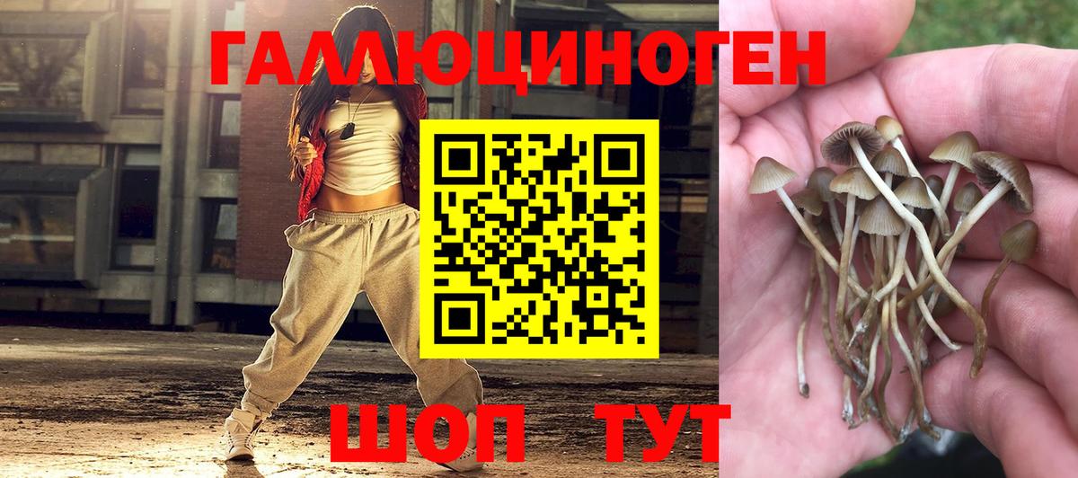Саранск  Псилоцибиновые грибы мицелий  Вход с VPN  Псилоцибиновые грибы мицелий 